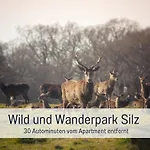 شقة Winetime - - Fuer Bis Zu 5 Personen - Idyllisch An Den Weinbergen Der Suedlichen Weinstrasse Zwischen Landau Und Neustadt Gelegen Roschbach