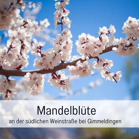 Apartman Winetime - - Fuer Bis Zu 5 Personen - Idyllisch An Den Weinbergen Der Suedlichen Weinstrasse Zwischen Landau Und Neustadt Gelegen *