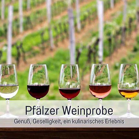 Winetime - - Fuer Bis Zu 5 Personen - Idyllisch An Den Weinbergen Der Suedlichen Weinstrasse Zwischen Landau Und Neustadt Gelegen * Roschbach