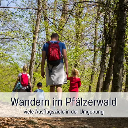 Appartamento Winetime - - Fuer Bis Zu 5 Personen - Idyllisch An Den Weinbergen Der Suedlichen Weinstrasse Zwischen Landau Und Neustadt Gelegen *