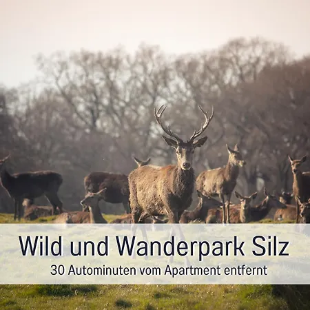 Daire Winetime - - Fuer Bis Zu 5 Personen - Idyllisch An Den Weinbergen Der Suedlichen Weinstrasse Zwischen Landau Und Neustadt Gelegen Roschbach