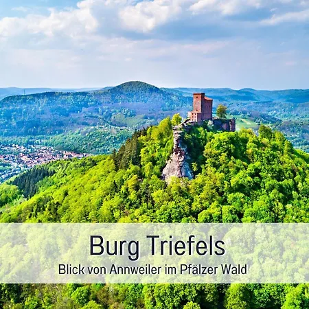 Winetime - - Fuer Bis Zu 5 Personen - Idyllisch An Den Weinbergen Der Suedlichen Weinstrasse Zwischen Landau Und Neustadt Gelegen