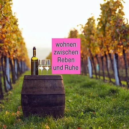 Winetime - - Fuer Bis Zu 5 Personen - Idyllisch An Den Weinbergen Der Suedlichen Weinstrasse Zwischen Landau Und Neustadt Gelegen Roschbach