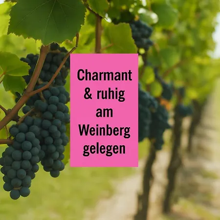 Apartment Winetime - - Fuer Bis Zu 5 Personen - Idyllisch An Den Weinbergen Der Suedlichen Weinstrasse Zwischen Landau Und Neustadt Gelegen