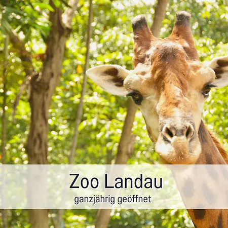 Winetime - - Fuer Bis Zu 5 Personen - Idyllisch An Den Weinbergen Der Suedlichen Weinstrasse Zwischen Landau Und Neustadt Gelegen *