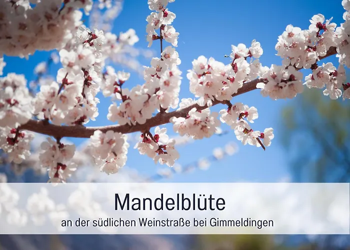 アパート Winetime - - Fuer Bis Zu 5 Personen - Idyllisch An Den Weinbergen Der Suedlichen Weinstrasse Zwischen Landau Und Neustadt Gelegen *