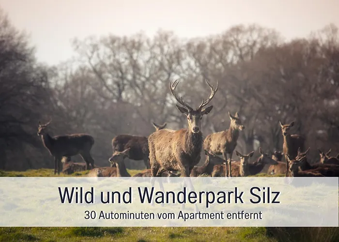 Apartment Winetime - - Für Bis Zu 5 Personen - Idyllisch An Den Weinbergen Der Südlichen Weinstraße Zwischen Landau Und Neustadt Gelegen Roschbach