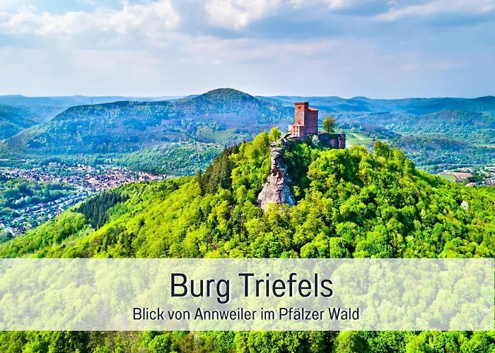 Winetime - - Für Bis Zu 5 Personen - Idyllisch An Den Weinbergen Der Südlichen Weinstraße Zwischen Landau Und Neustadt Gelegen