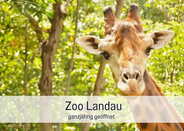 Winetime - - Für Bis Zu 5 Personen - Idyllisch An Den Weinbergen Der Südlichen Weinstraße Zwischen Landau Und Neustadt Gelegen *